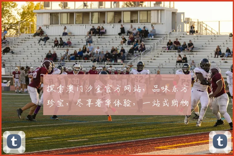 探索澳门沙金官方网站，品味东方珍宝，尽享奢华体验，一站式购物之旅，不容错过
