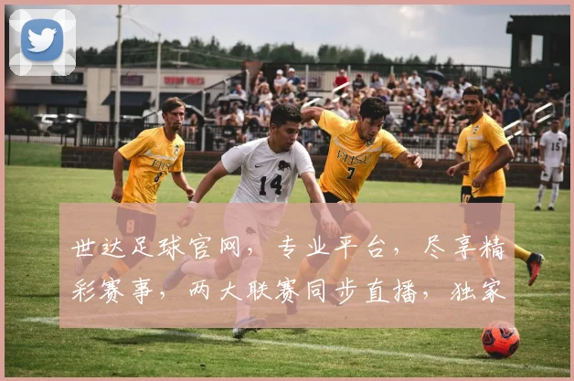 世达足球官网，专业平台，尽享精彩赛事，两大联赛同步直播，独家解读，不容错过