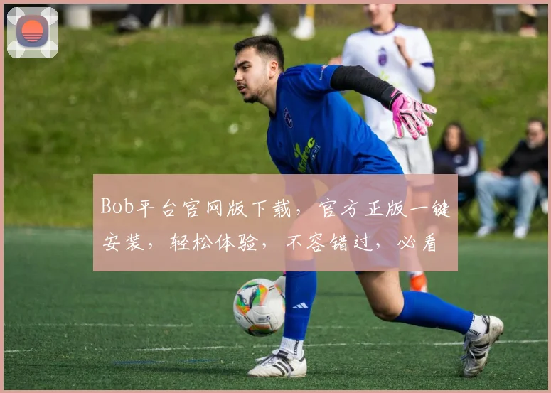 Bob平台官网版下载，官方正版一键安装，轻松体验，不容错过，必看攻略
