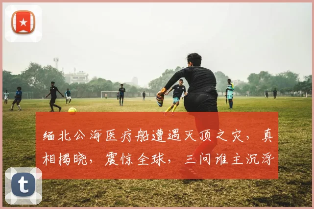 缅北公海医疗船遭遇灭顶之灾，真相揭晓，震惊全球，三问谁主沉浮