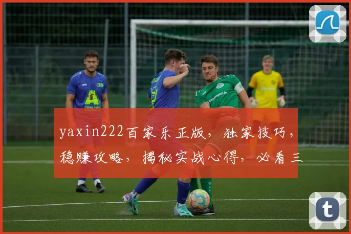 yaxin222百家乐正版，独家技巧，稳赚攻略，揭秘实战心得，必看三招