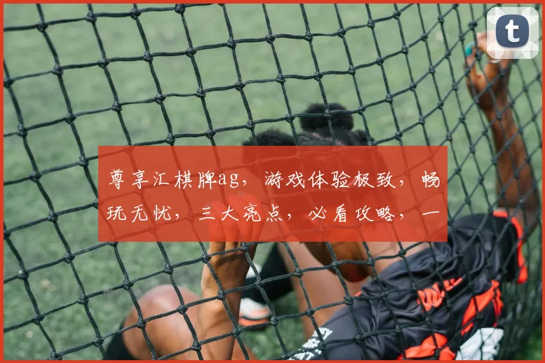 尊享汇棋牌ag，游戏体验极致，畅玩无忧，三大亮点，必看攻略，一网打尽