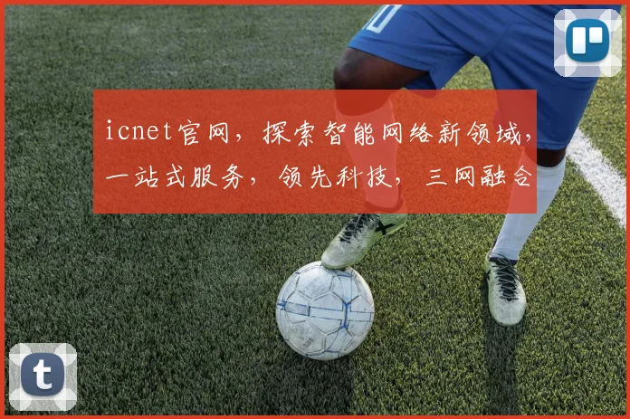 icnet官网，探索智能网络新领域，一站式服务，领先科技，三网融合，尽在icnet官网逗逗逗