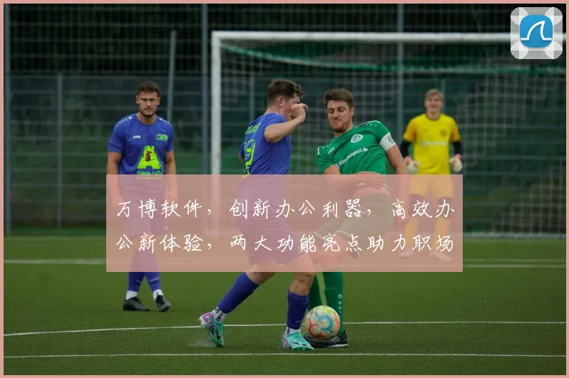 万博软件，创新办公利器，高效办公新体验，两大功能亮点助力职场效率提升，值得关注
